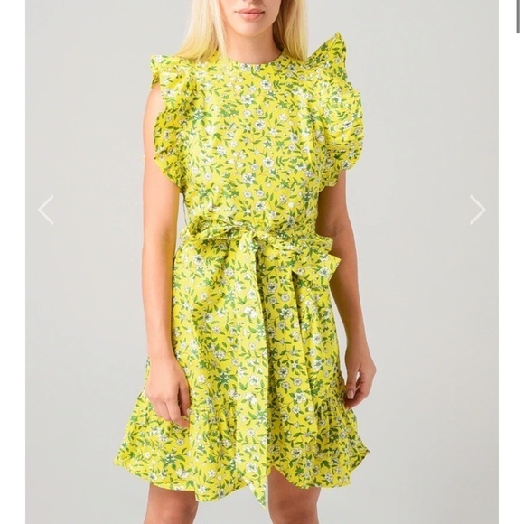 BANJANAN Audrey Mini Dress Yellow green Audrey Aurora Print dress small new - Picture 3 of 10